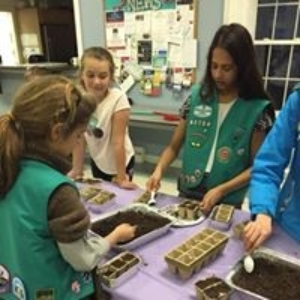 Girl Scouts