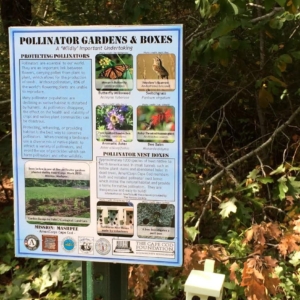 Mashpee-Native-Pollinator-sign