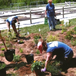 Planting-at-Mashpee-Community-Gardens