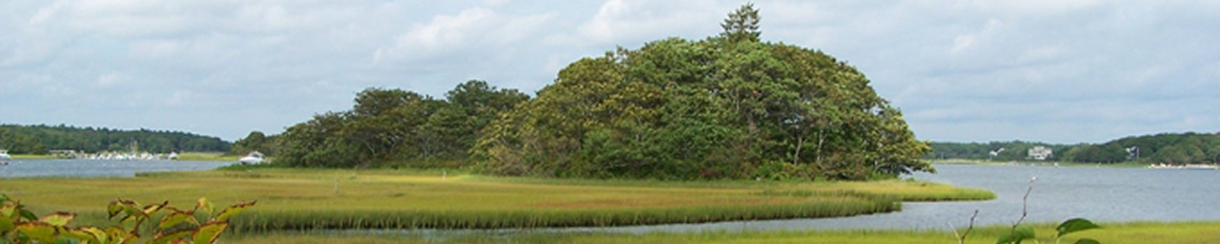 Friends of Mashpee National Wildlife Refuge