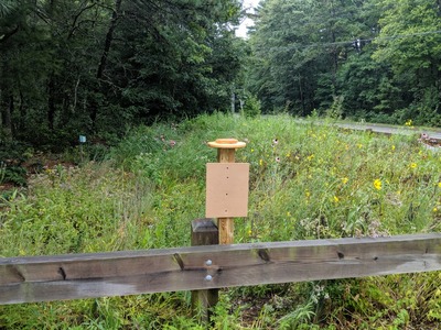 Mashpee Refuge Pollinator Garden