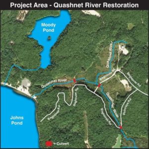 Quashnet River Restoration