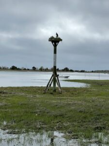 IMG_0371