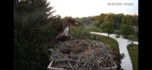 3E3E0023-264B-4E41-A41D-5A4926F52538