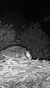 EB4BA88F-77BF-4B10-AC64-D80360D4AC70