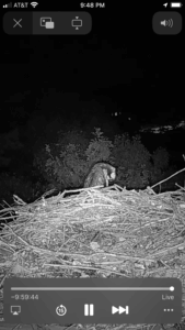 3985FA44-AA2B-43EA-8DB4-DB6E5ED9A5A1