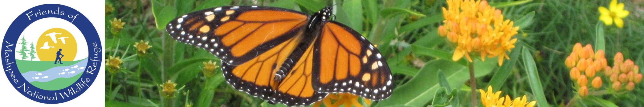 Friends of Mashpee National Wildlife Refuge