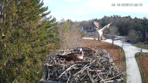 Carson-brings-breakfast-4-16-26