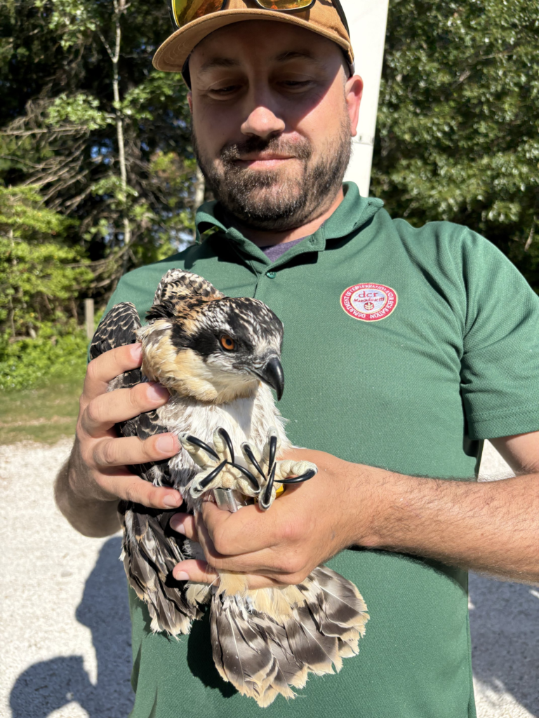 Sean with Quebec 6-22-26
